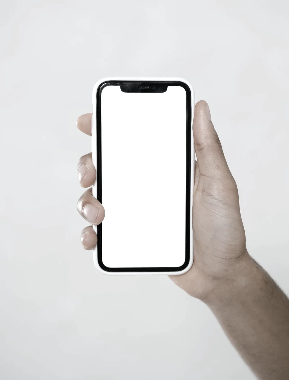 A hand holding a phone showing the FitzUnited app